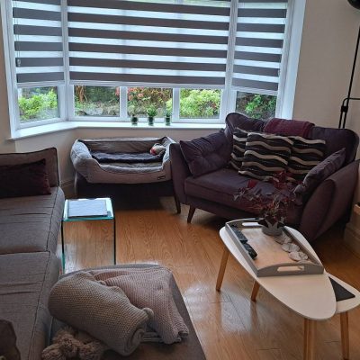 386511831_717380727100047_3496694465942232581_n